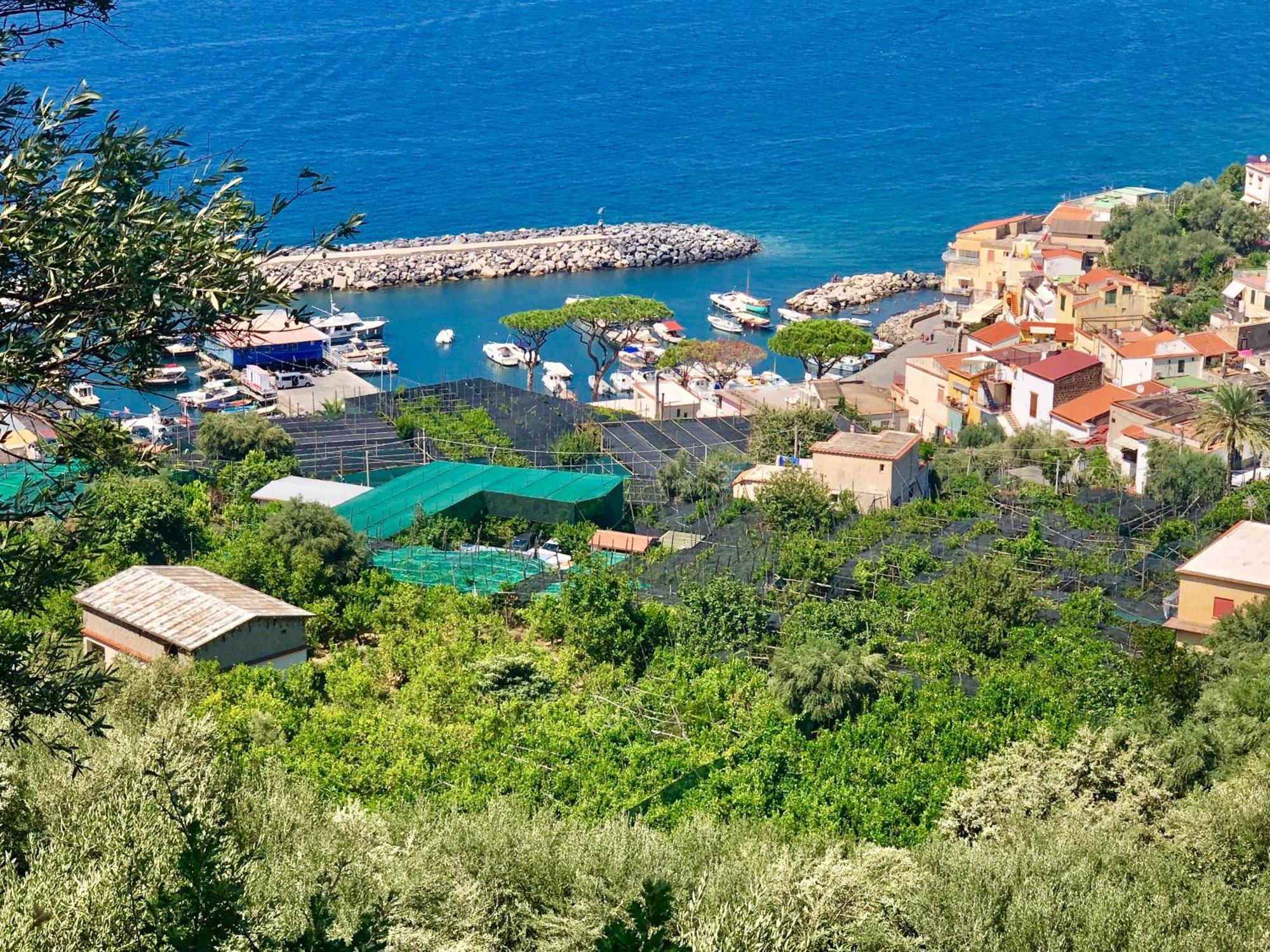 Bilocale Panoramico “Lo Sguardo” Apartment Massa Lubrense Exterior foto